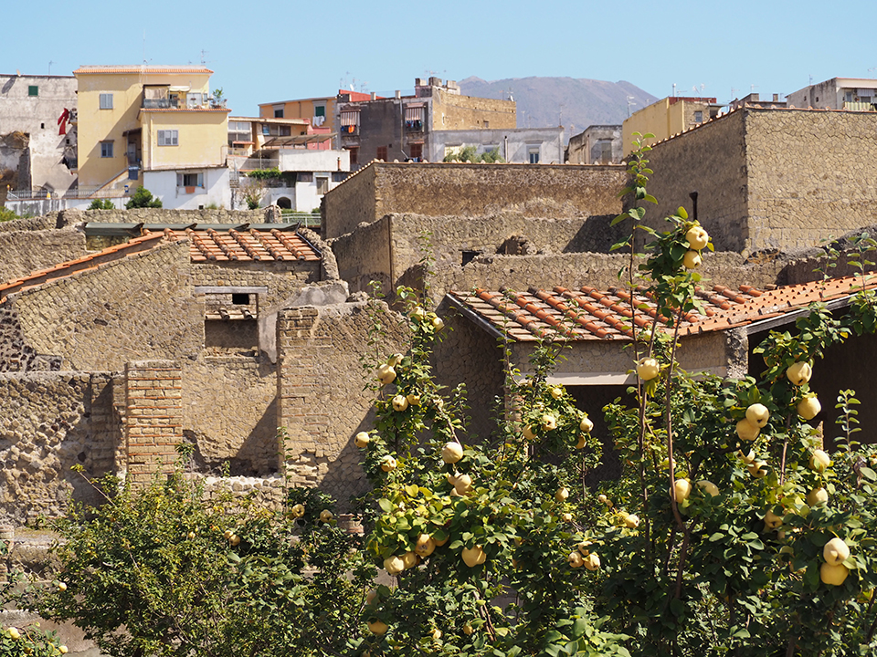 The town of Herculaneum, Italy.