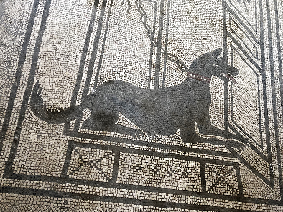Mosaic dog, Pompeii.