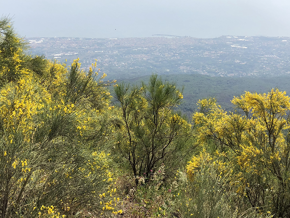 Looking out over the bay of Naples, from Vesuvius.