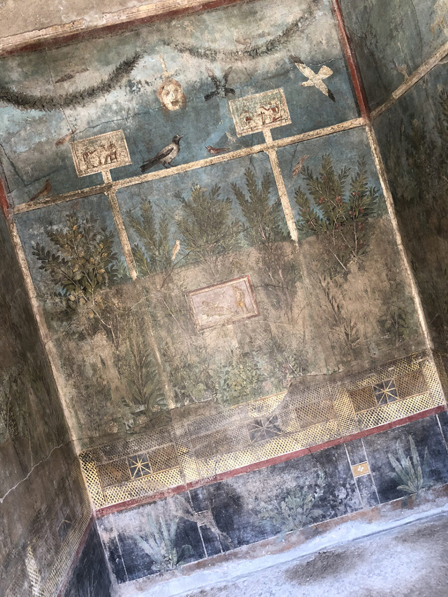 Beautiful frescos. How to visit the ancient city of Pompeii and Mount Vesuvius.