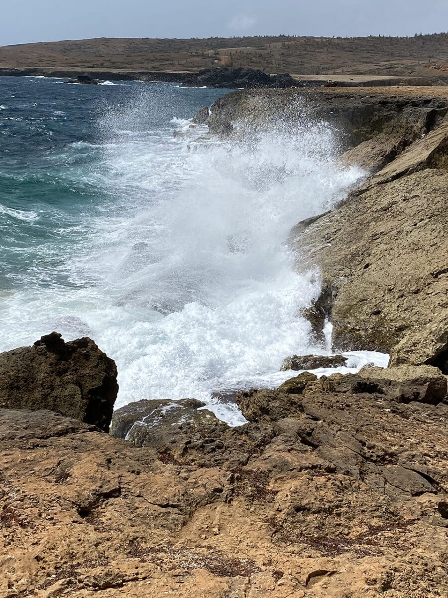 The wild coastline of Aruba.