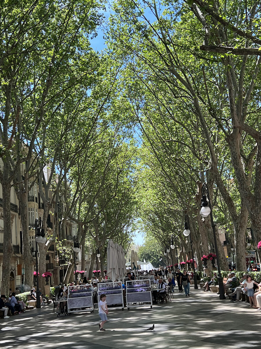 La Rambla and Passeig des Born, perfect for a stroll and people watching.