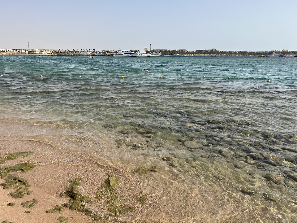 The best trips to book when visiting Hurghada, Egypt.